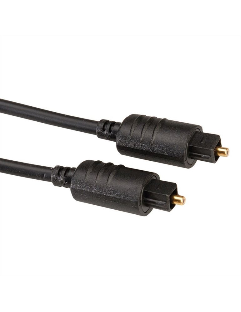 ROLINE TOSLINK (ΟΠΤΙΚΗ INA) 1M - (11.09.4381)